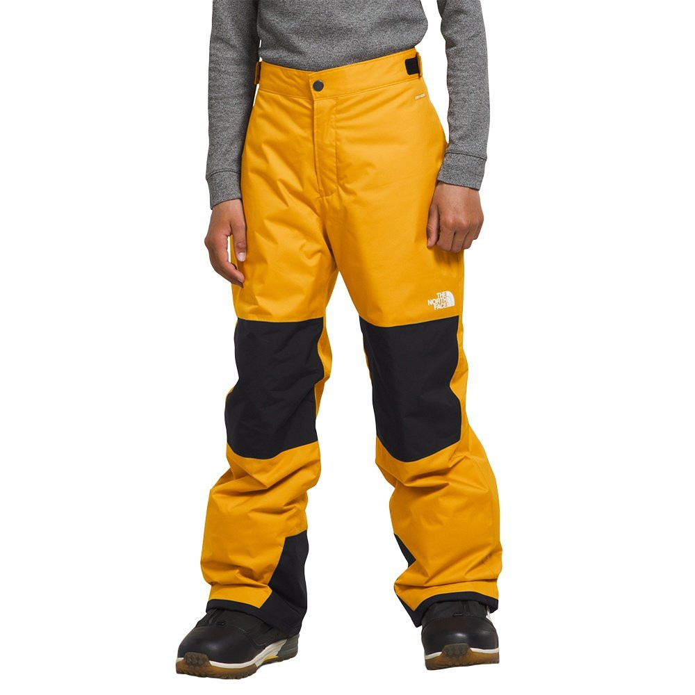 The North Face Youth Freedom Insulated Ski Pant (Boys') - Peter