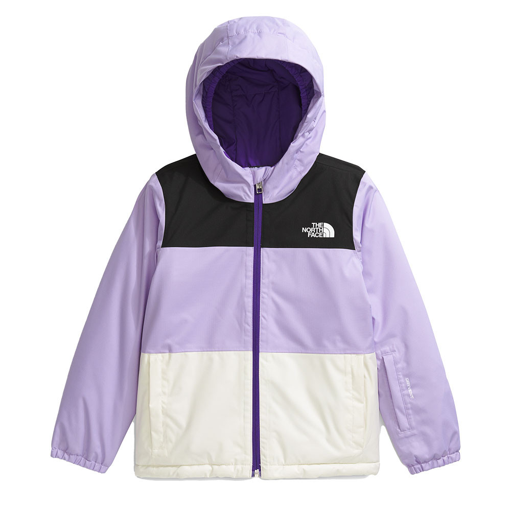 The North Face Freedom Insulated Ski Jacket (Little Kids') - Peter