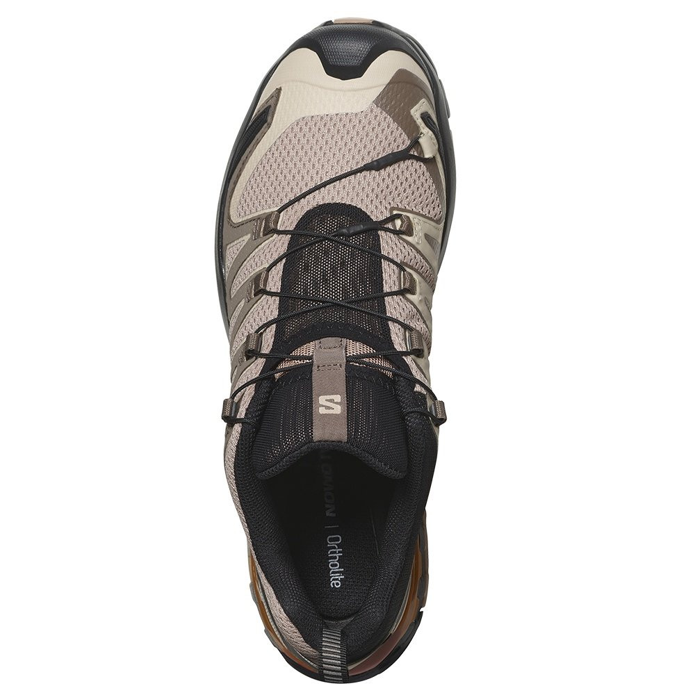 Salomon XA Pro 3D V9 Trail Running Shoe (Men's) - Peter Glenn Ski