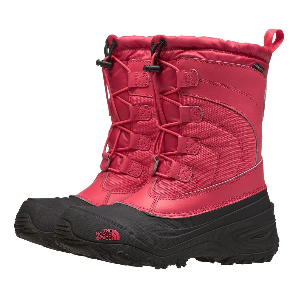 The North Face Alpenglow IV Boot (Kids display picture 3