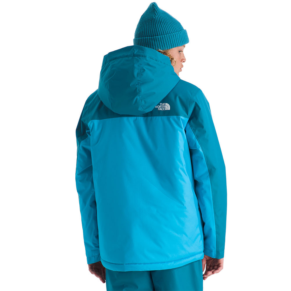 The North Face Freedom Insulated Ski Jacket (Boy's) - Peter Glenn