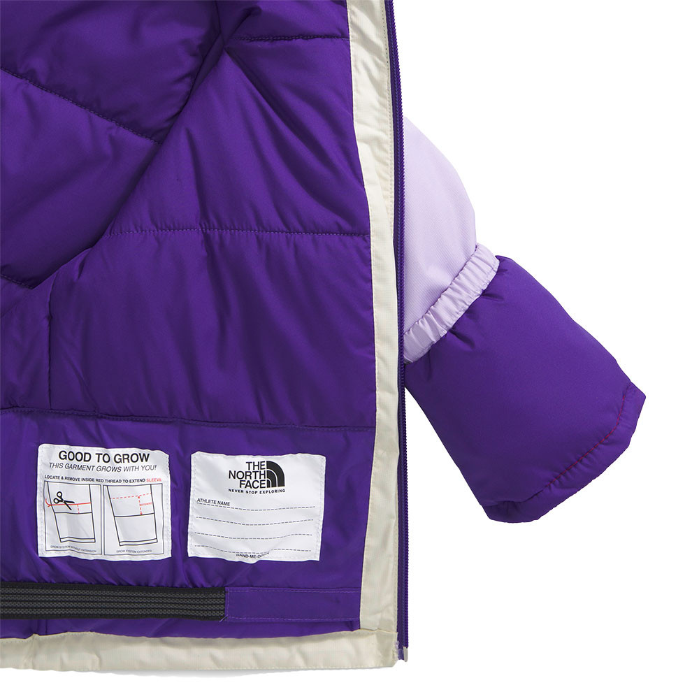 The North Face Freedom Insulated Ski Jacket (Little Kids') - Peter