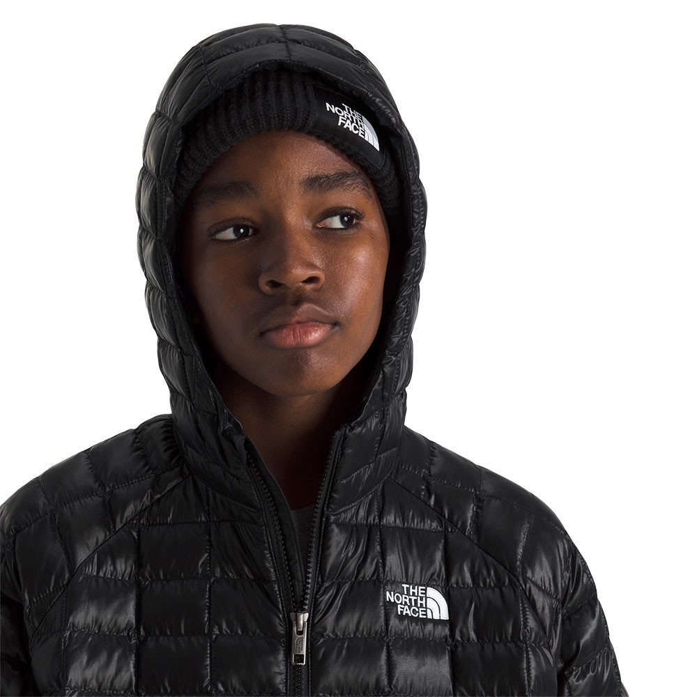 The North Face Thermoball Hooded Insulator Jacket (Kids') - Peter