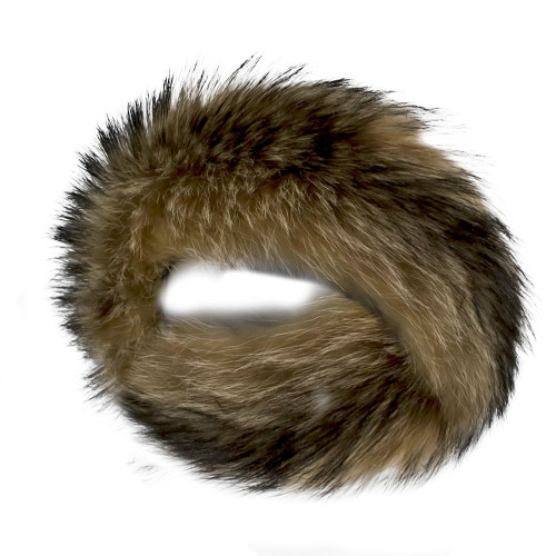 Fin Raccoon