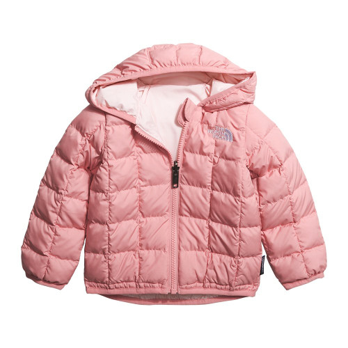 Shady Rose Shady Rose