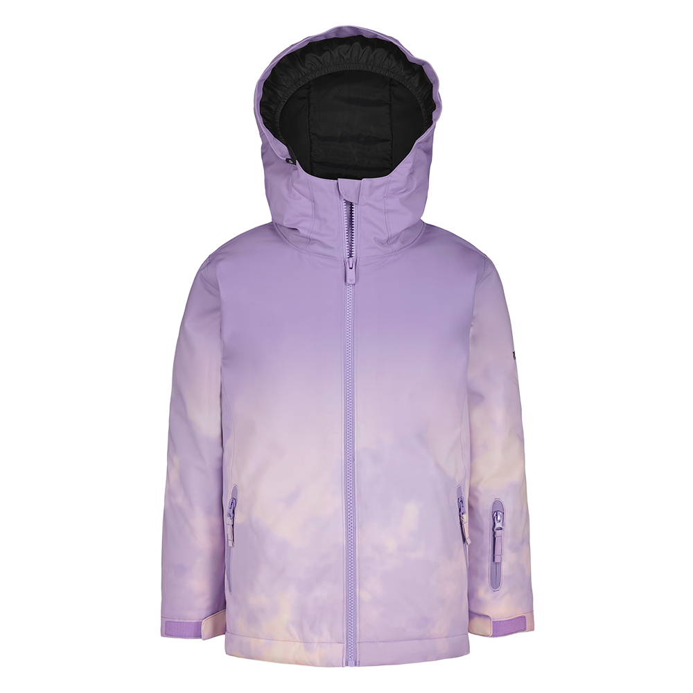 Roxy Black Diamond Insulated Snowboard Jacket (Girls')