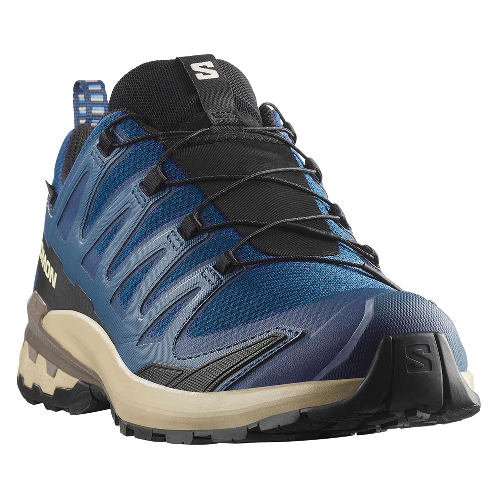 Salomon XA Pro 3D V9 GORE-TEX Trail Running Shoe (Men's) - Peter