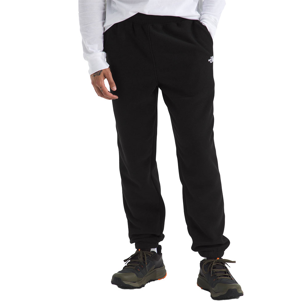 The North Face Alpine Polartec 100 Fleece Pant (Men's) - Peter