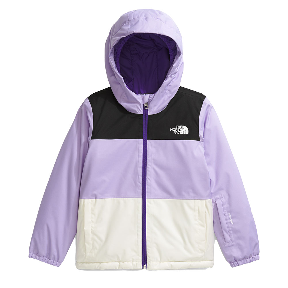 The North Face Freedom Insulated Ski Jacket (Little Kids') - Peter