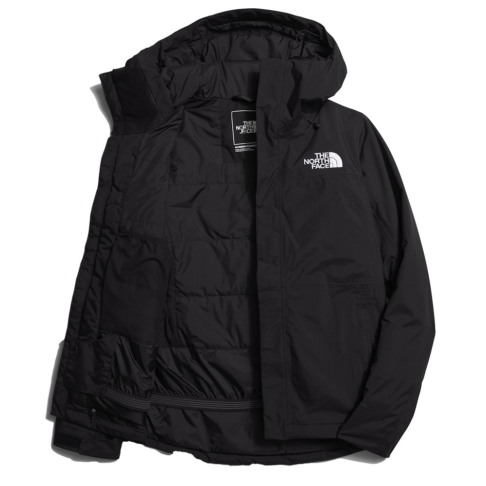 The North Face Freedom Insulated Ski Jacket (Women's) - Peter
