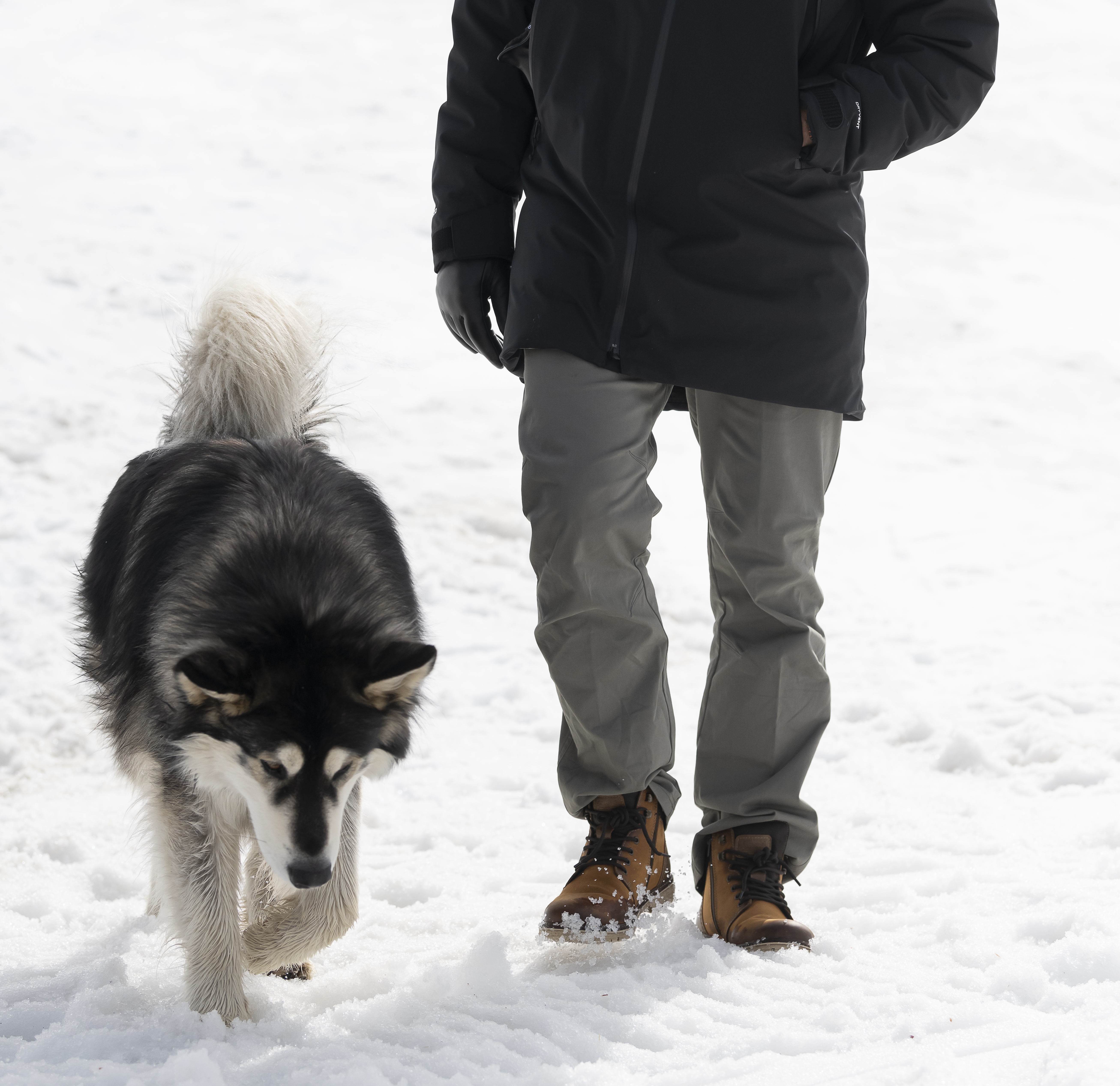 Find the Right Men's Winter Boots with Peter Glenn