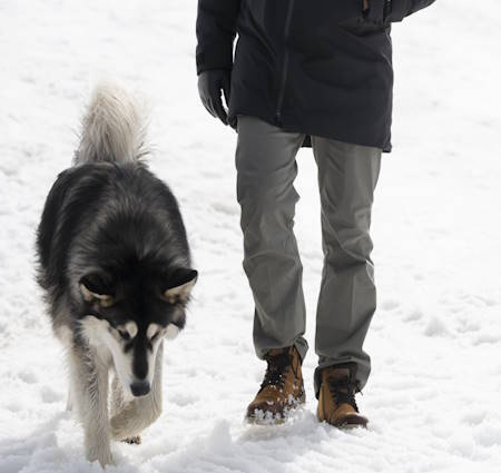 Find the Right Men's Winter Boots with Peter Glenn