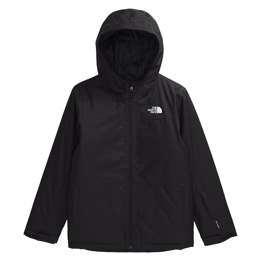 The North Face Freedom Insulated Ski Jacket (Boy's) - Peter Glenn