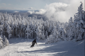 What is Nordic Skiing? A Complete Guide for Beginners - Peter