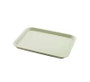 Plastic Tray (A Size), 9 5/8'' x 13 3/8''