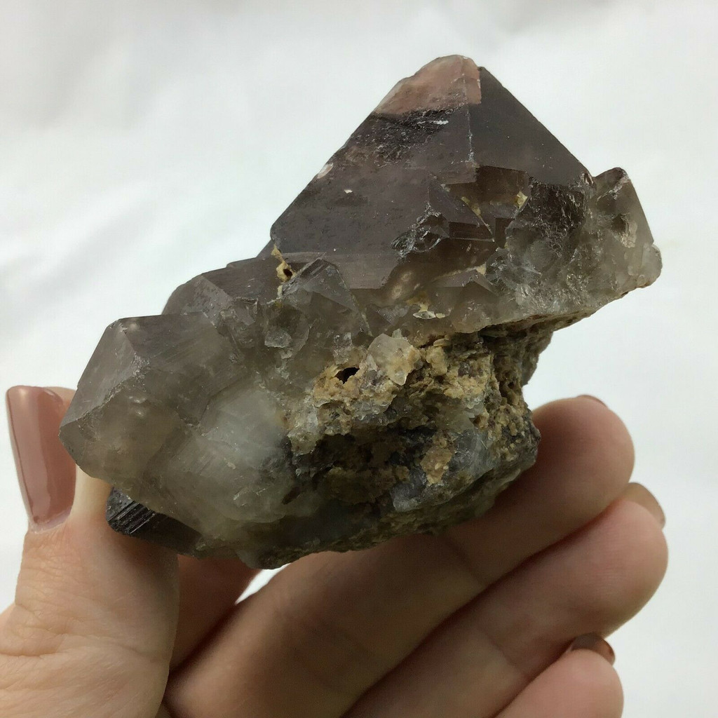 MeldedMind Beta Smoky Morion Quartz Specimen 2.60in Brazil Crystal 1901-334