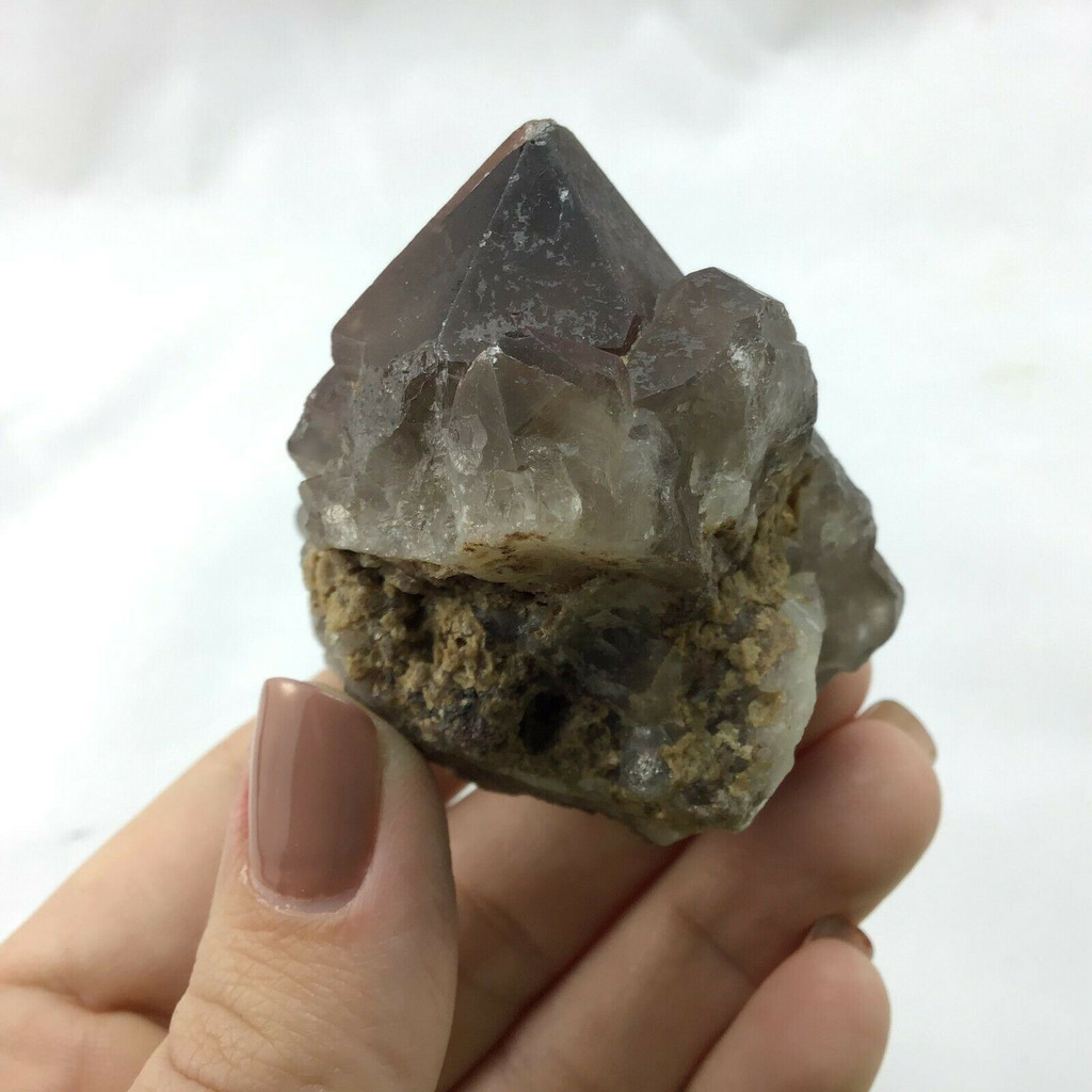 MeldedMind Beta Smoky Morion Quartz Specimen 2.60in Brazil Crystal 1901-334