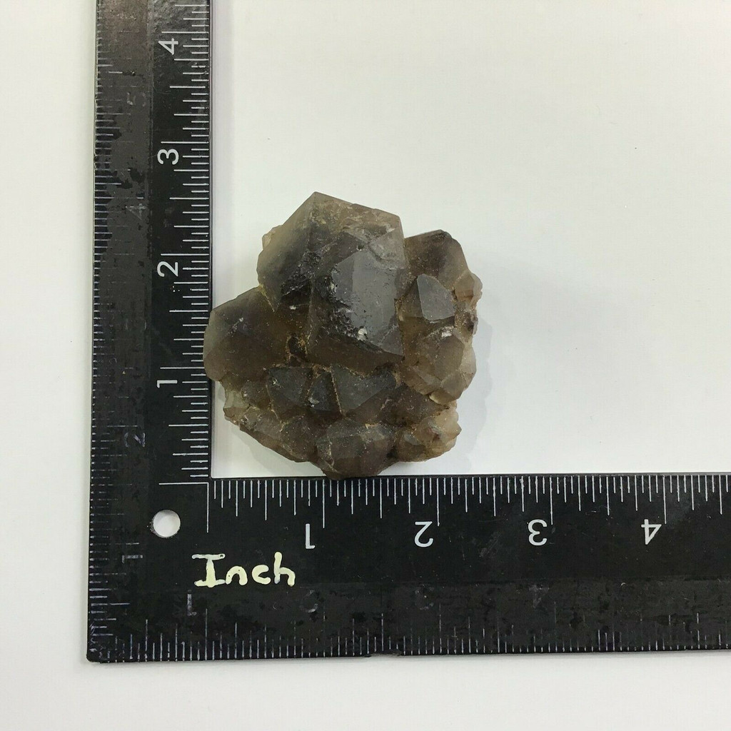 MeldedMind Beta Smoky Morion Quartz Specimen 2.36in Brazil Crystal 1901-335