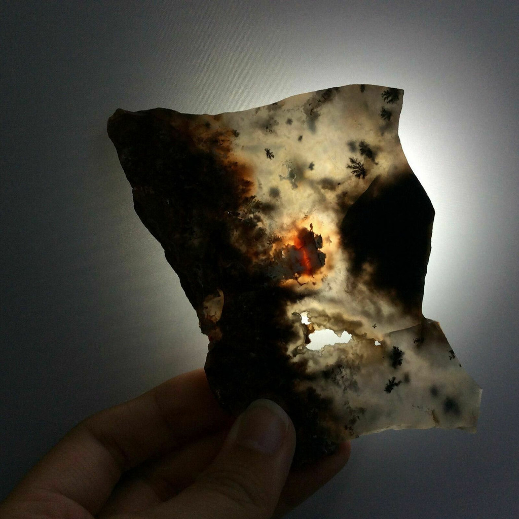 Black Plume Agate Slab 98mmx78mmx5mm 170701 Dendrites Specimen Lapidary