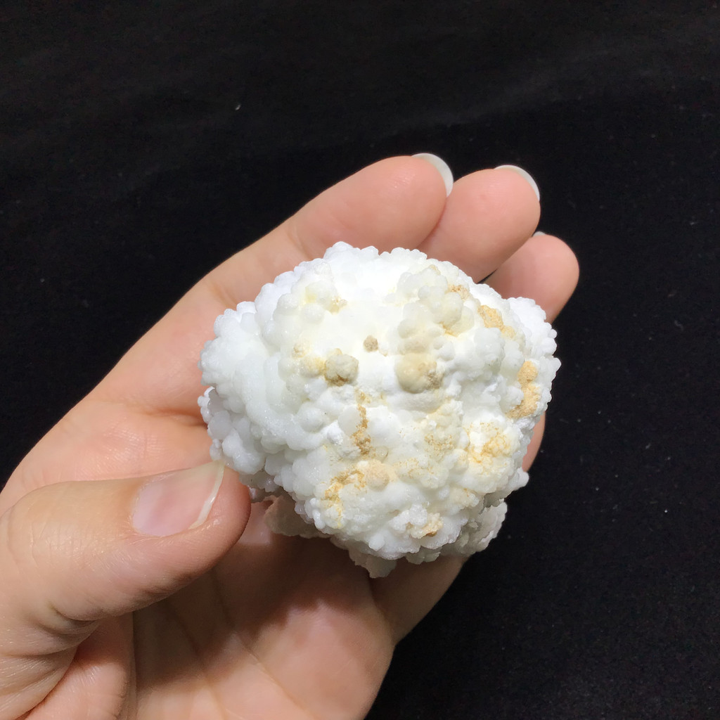 MeldedMind White Coral Cave Calcite Cluster Specimen 3.10in Natural Crystal 246