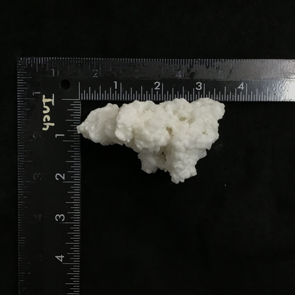 MeldedMind White Coral Cave Calcite Cluster Specimen 3.36in Natural Crystal 247