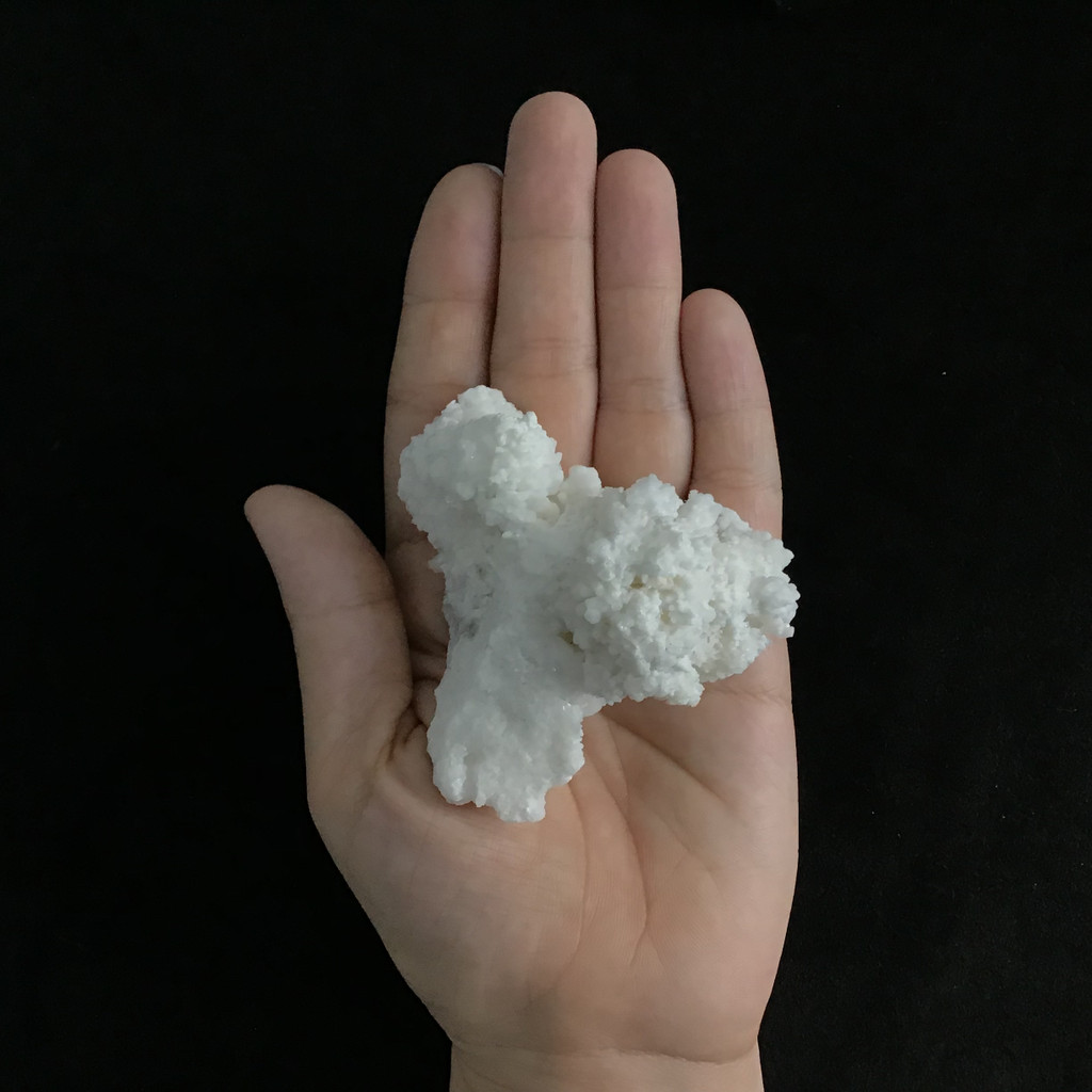 MeldedMind White Coral Cave Calcite Cluster Specimen 3.14in Natural Crystal 248