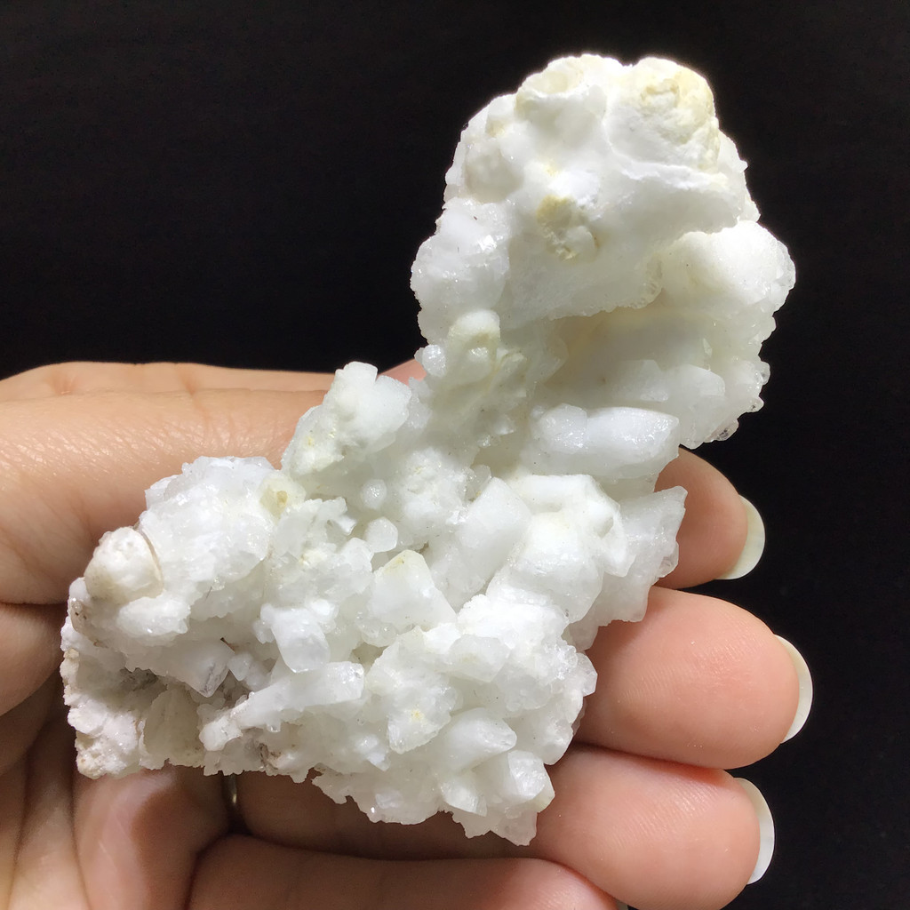 MeldedMind White Coral Cave Calcite Cluster Specimen 3.51in Natural Crystal 251