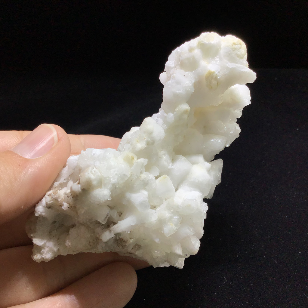 MeldedMind White Coral Cave Calcite Cluster Specimen 3.51in Natural Crystal 251