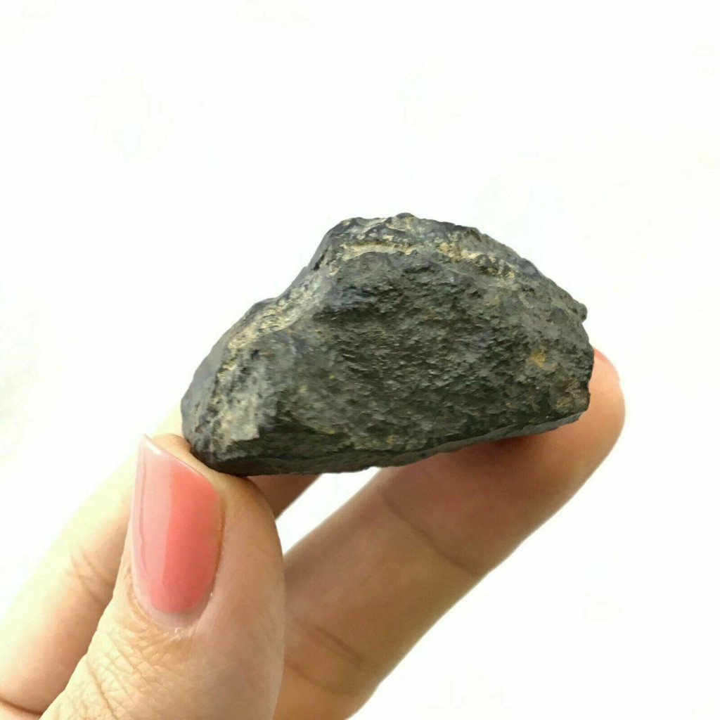 Botryoidal Hematite Specimen 46g 1902-088 Taouz Morocco Mineral Black