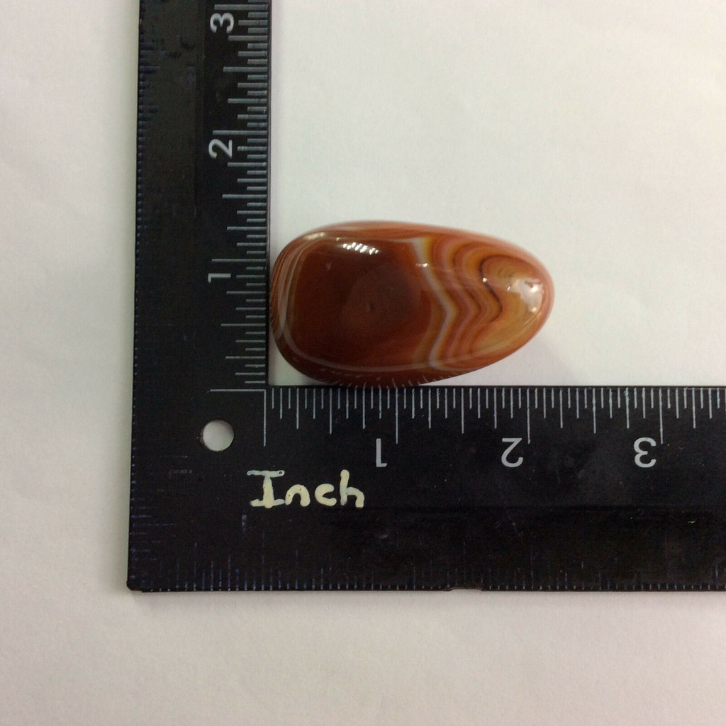 Banded Agate 170718 51.4mm XL Palm Jumbo Protection Strength Metaphysical