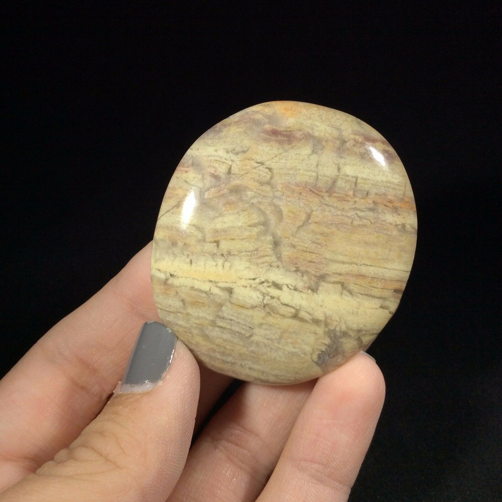 MeldedMind Silver Lace Jasper Palm Stone 1.85in Natural Brown Crystal 171019