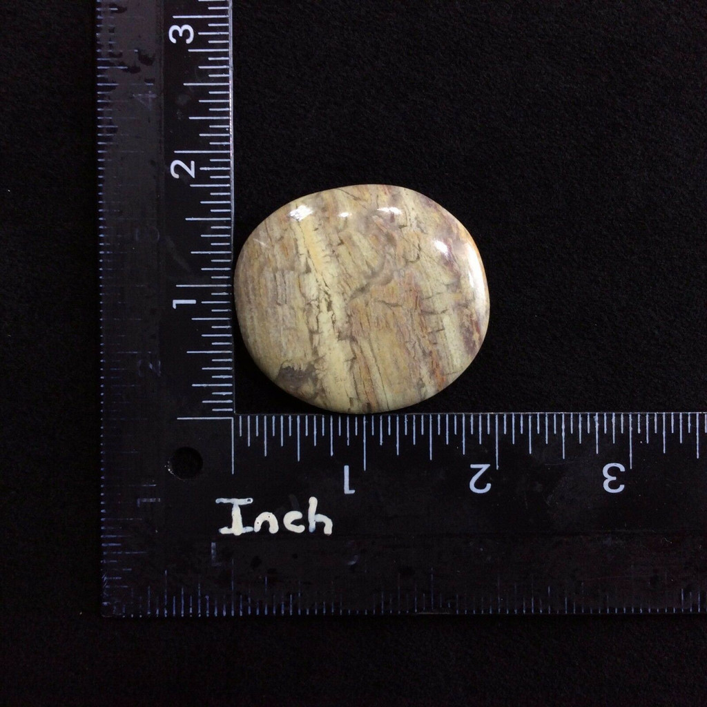 MeldedMind Silver Lace Jasper Palm Stone 1.85in Natural Brown Crystal 171019