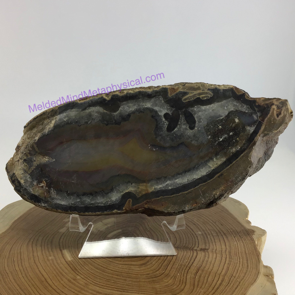 MeldedMind Agate Sliced Slab 7 Inches One Side Polished Gemstone 029