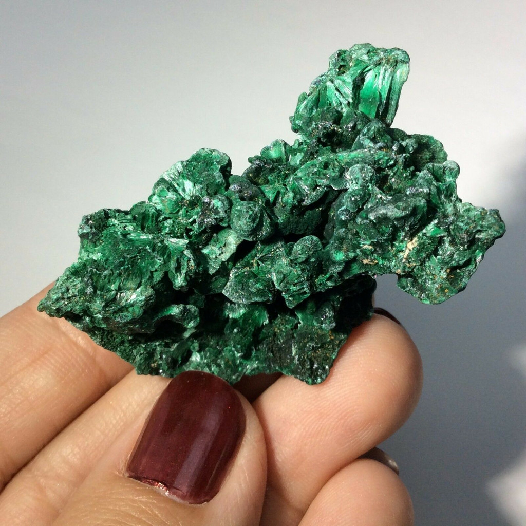 MeldedMind Rough Malachite Specimen 1.83in Natural Green Crystal 170914