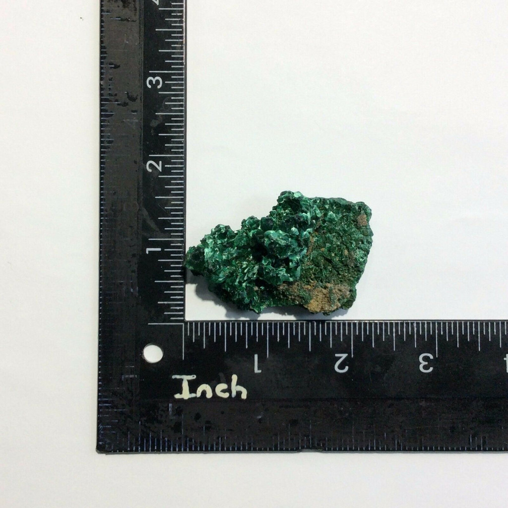 Rough Malachite Specimen 170917 57.5mm Stone of Transformation Metaphysical