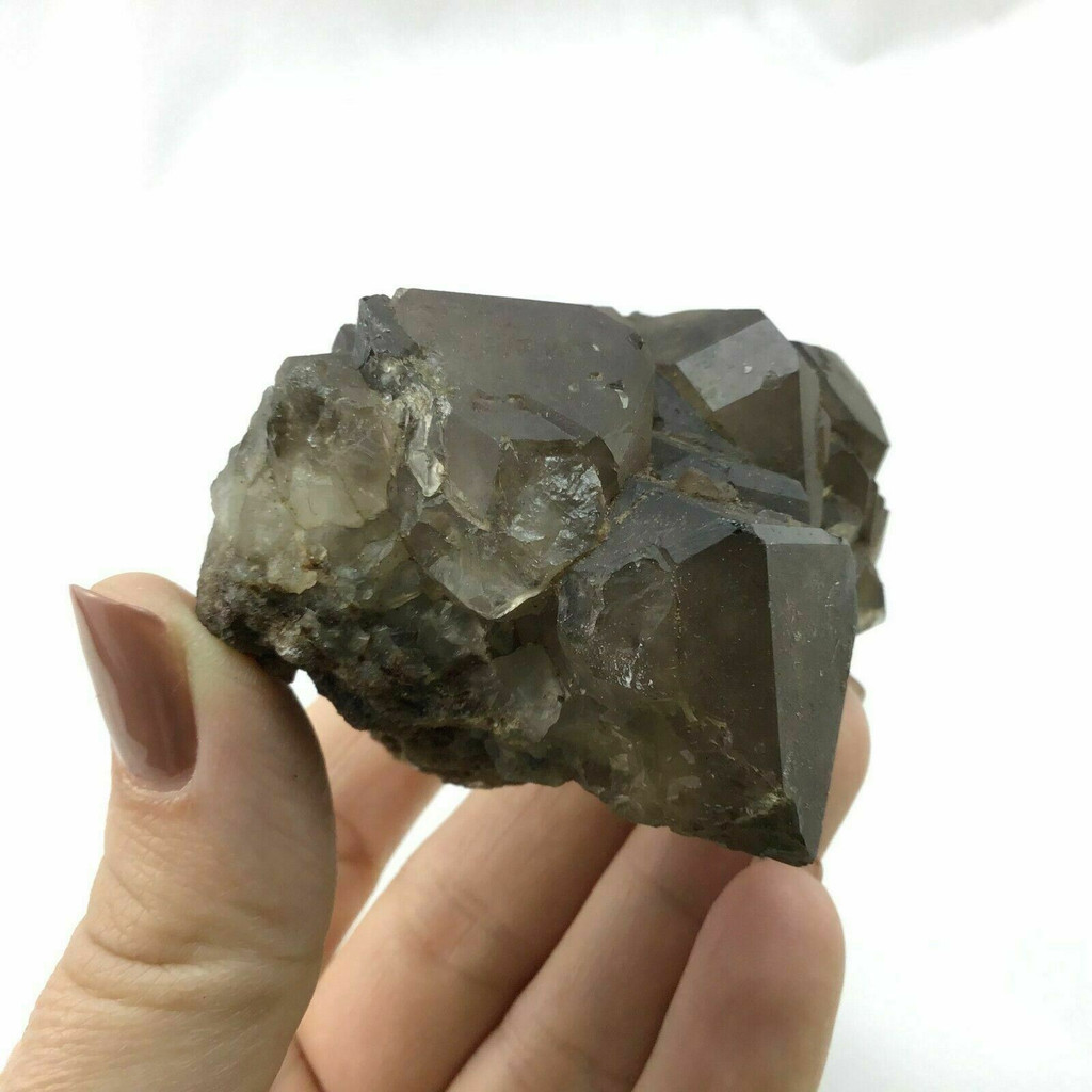 MeldedMind Beta Smoky Morion Quartz Specimen 3.07in Brazil Crystal 1901-331