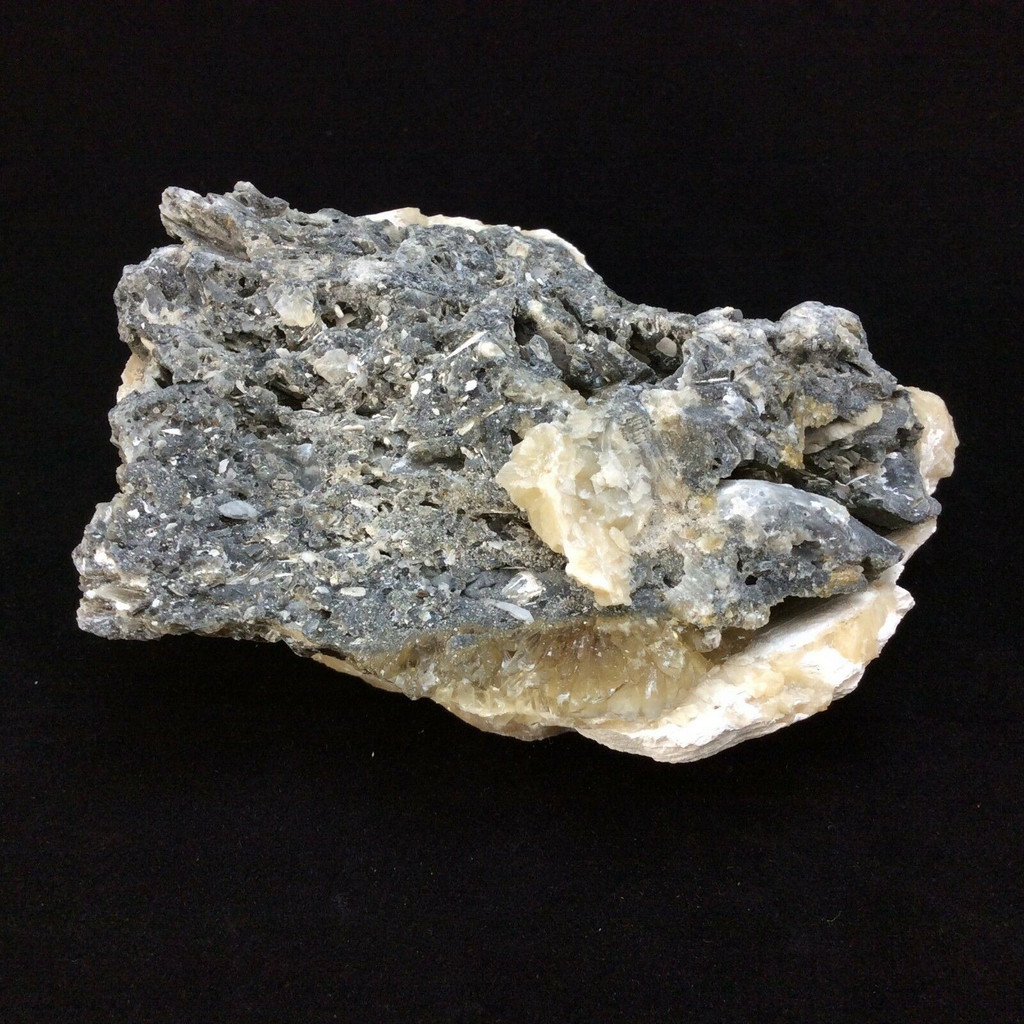 MeldedMind Dogtooth Calcite on Clam Shell Ruck’s Pit, FL Natural Honey Crystal 2