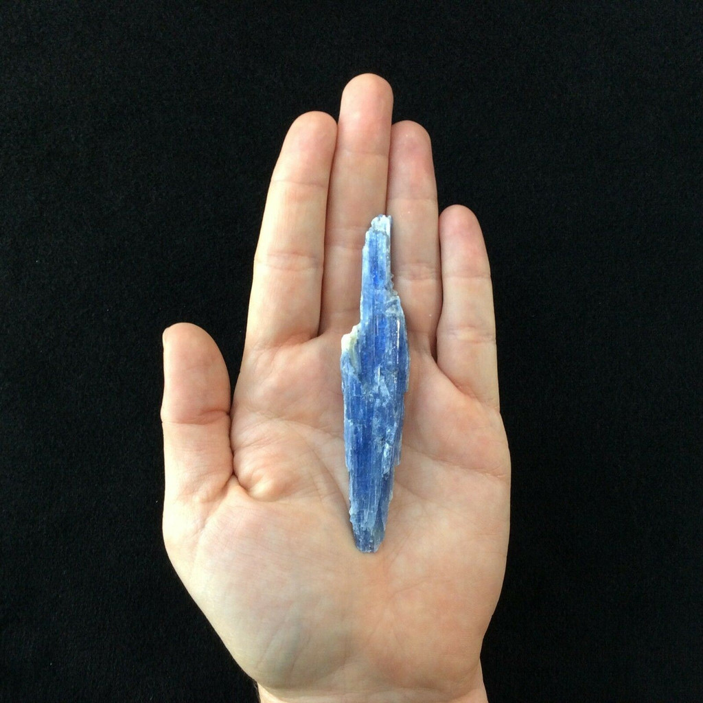 Natural Rough Raw Blue Kyanite Blade Specimen 161236 Stone of Connections