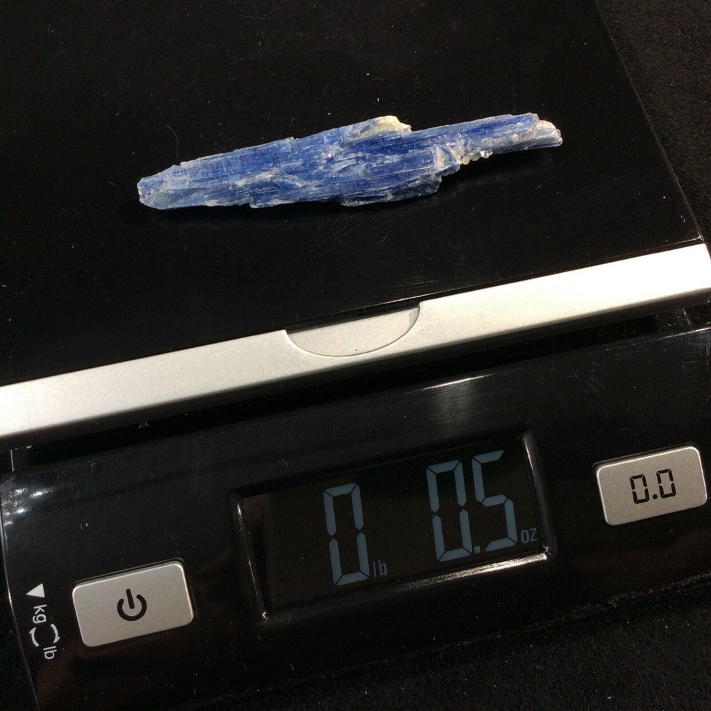 Natural Rough Raw Blue Kyanite Blade Specimen 161236 Stone of Connections