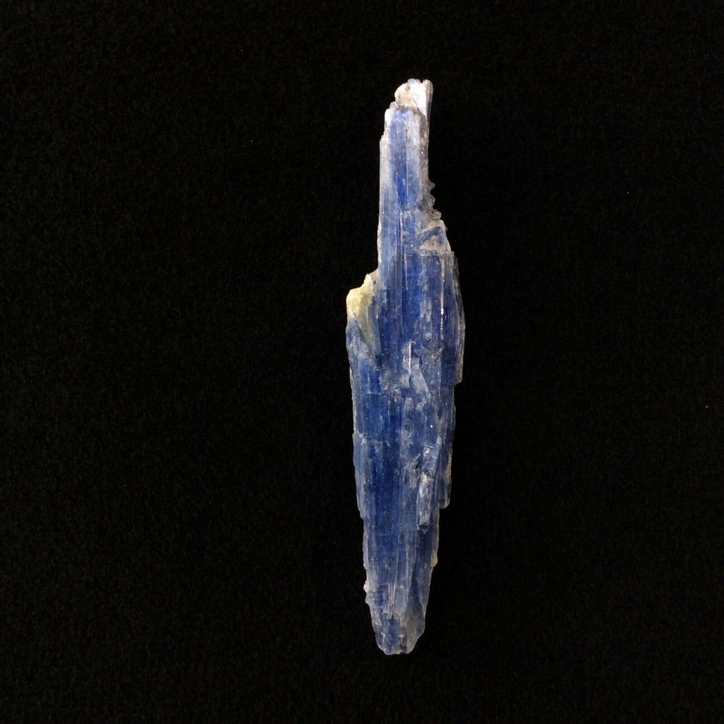 Natural Rough Raw Blue Kyanite Blade Specimen 161236 Stone of Connections