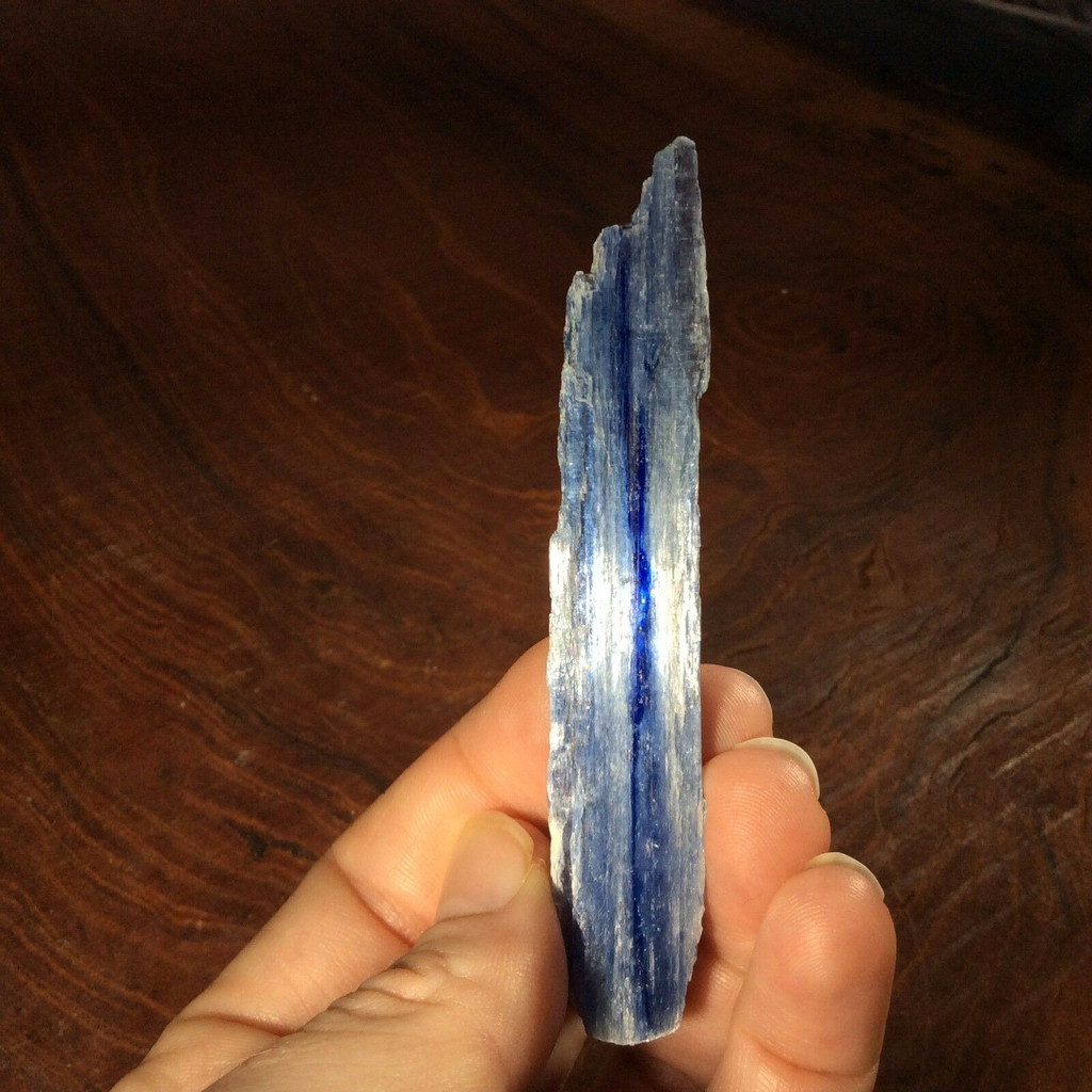 Natural Rough Raw Blue Kyanite Blade Specimen 161232 Stone of Connections