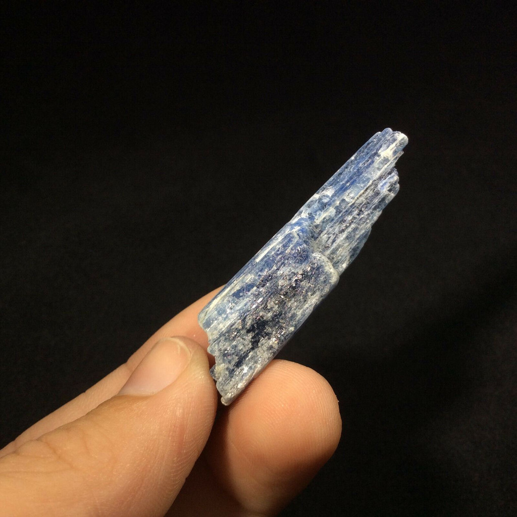 Natural Rough Raw Blue Kyanite Blade Specimen 171172 Stone of Connections