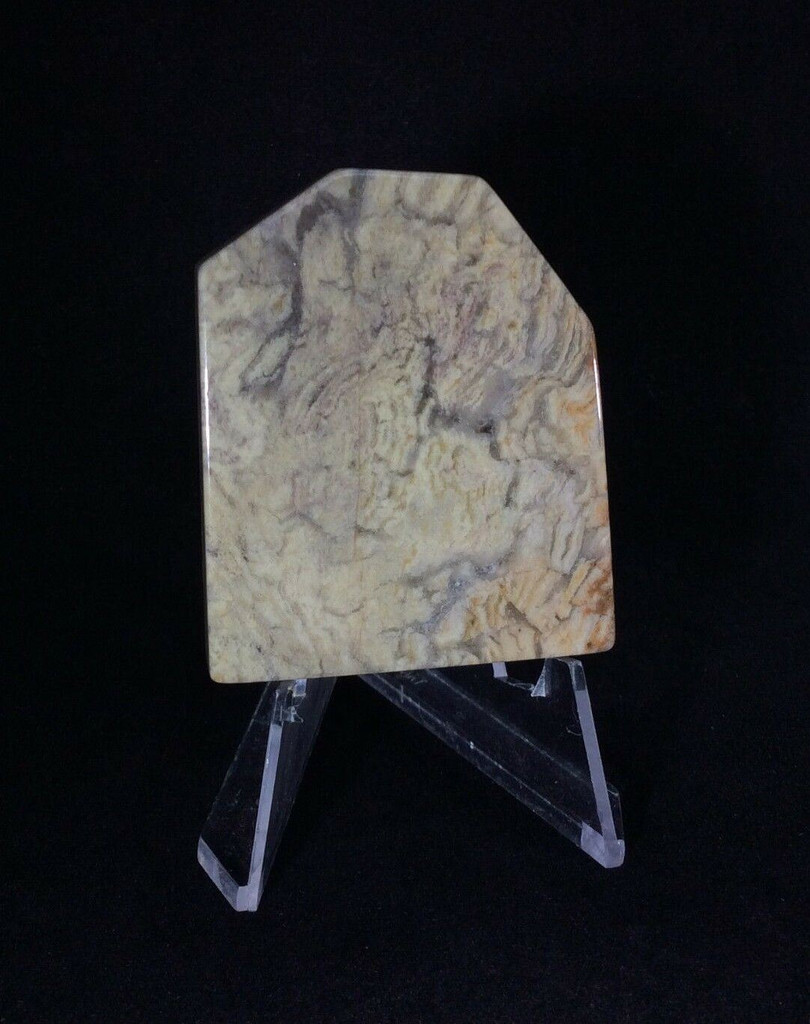 Silver Lace Jasper Slab 50mm 48g 170915 Black Tan Grey Stone Specimen