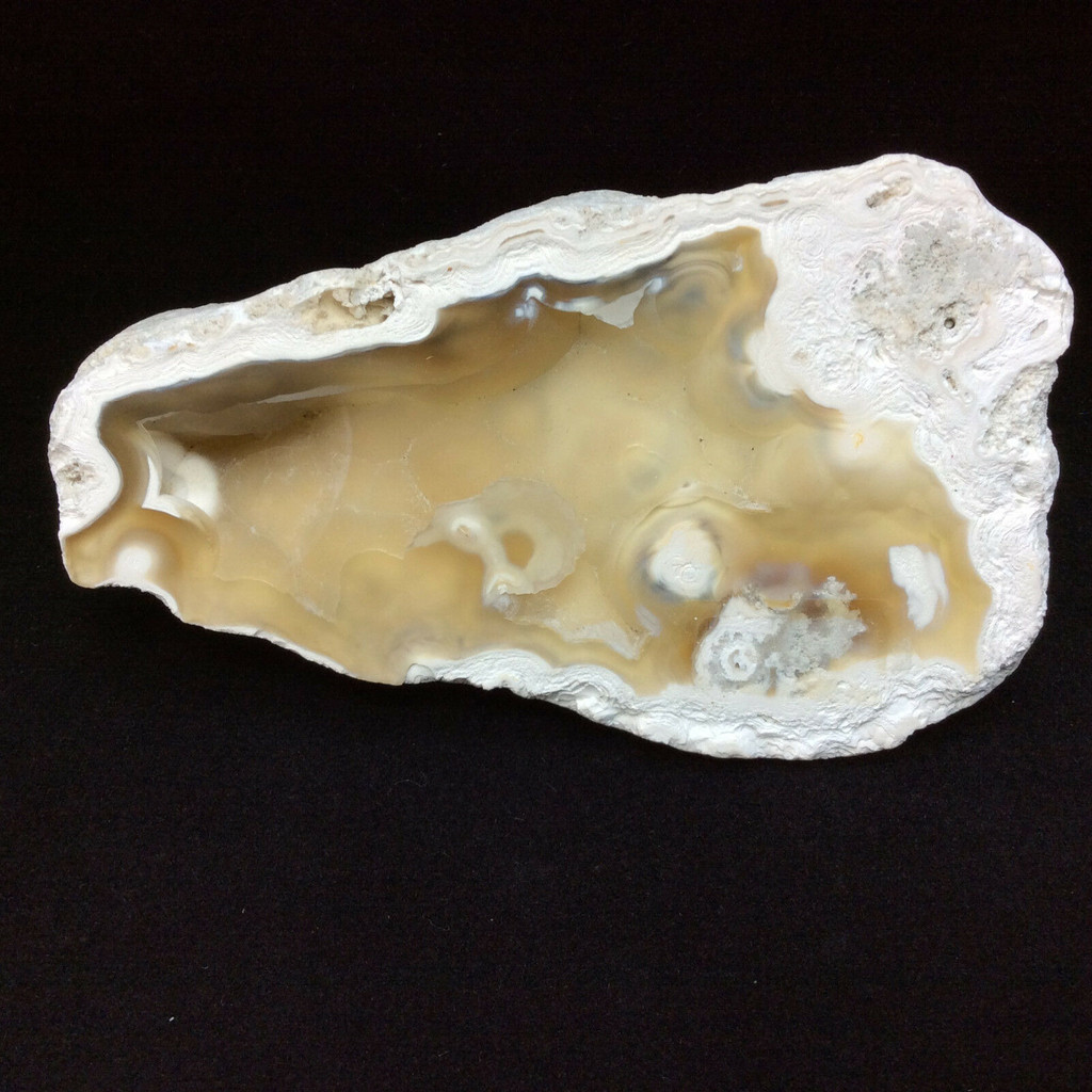 Agatized Fossil Coral 170768 93g Metaphysical Emotional Balance Healing Strength