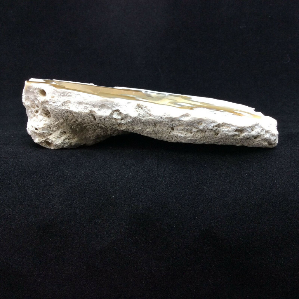 Agatized Fossil Coral 170768 93g Metaphysical Emotional Balance Healing Strength