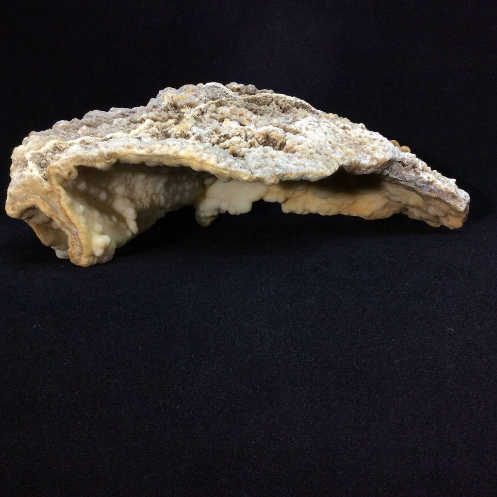 Agatized Fossil Coral 170777 257g Metaphysical Emotional Balance Healing 