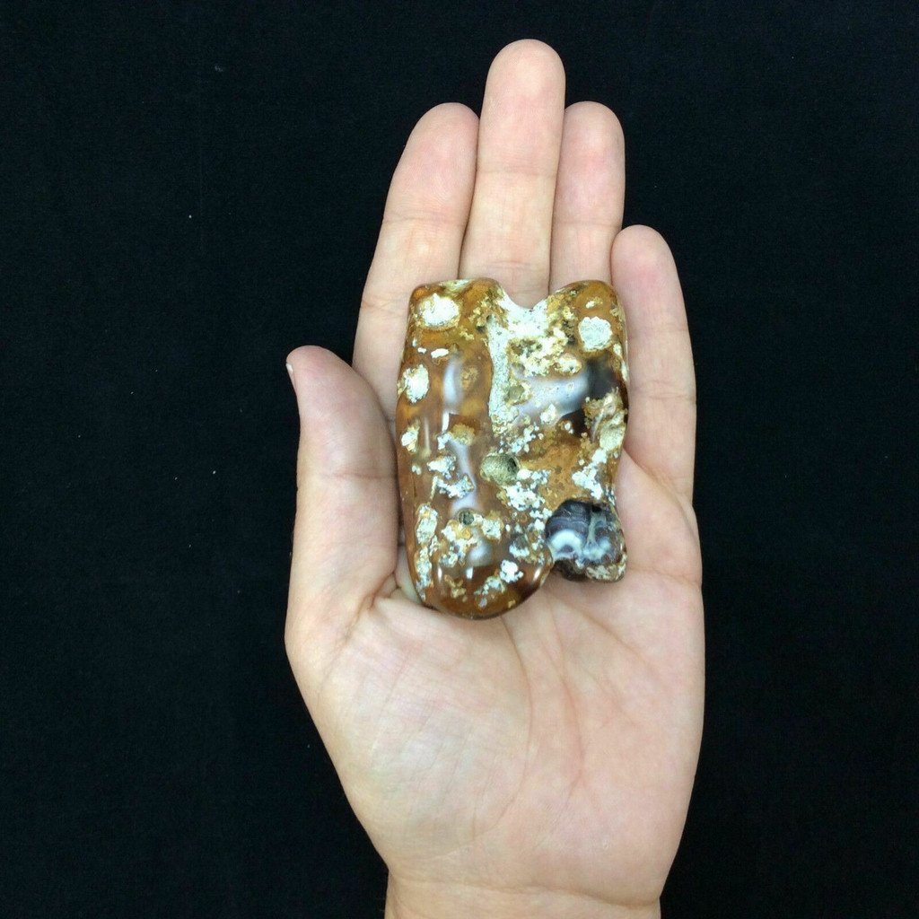 Agatized Fossil Coral 170770 119g Metaphysical Emotional Balance Healing 