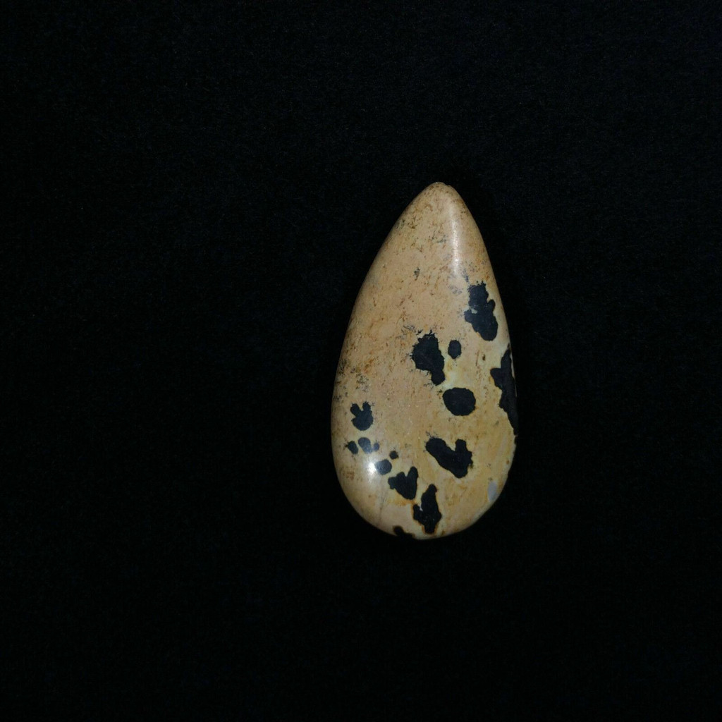 Teardrop Dendritic Picture Jasper Cabochon Stone 170802 Jewelry Tan Black