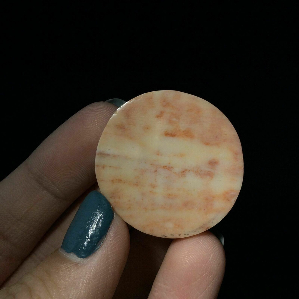 Round Agatized Fossil Coral Cabochon 170806 Red Yellow Gemstone Jewelry  