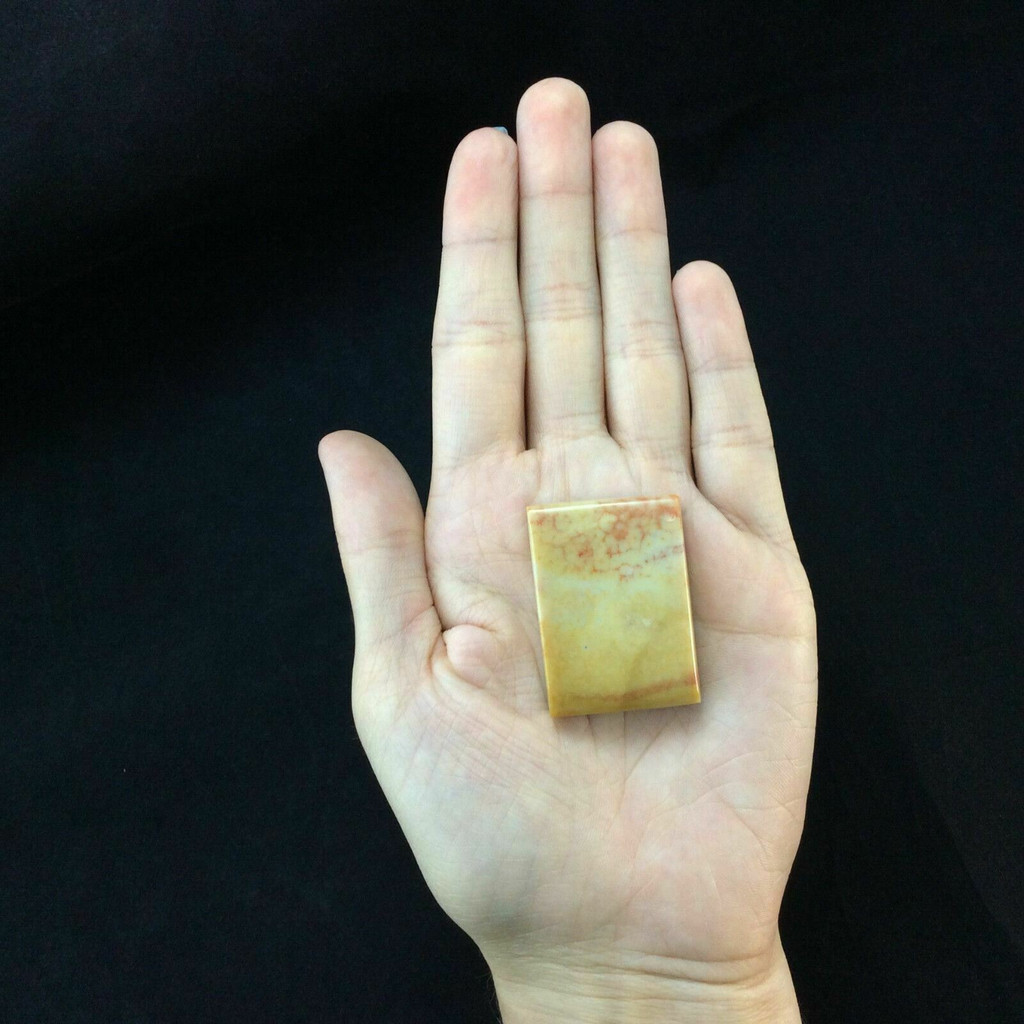 Rectangular Agatized Fossil Coral Cabochon 170804 Red Yellow Gemstone Jewelry 